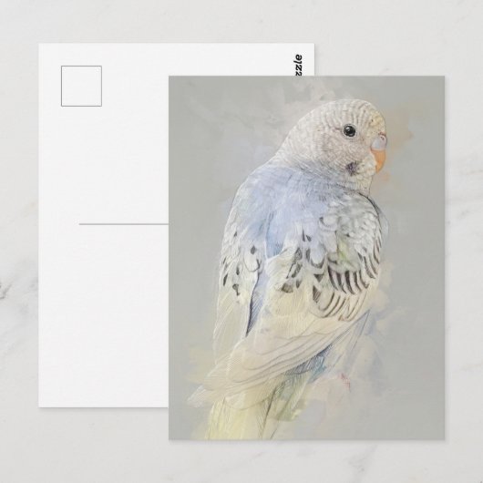 Briefkaart Budgies No.7 (Voorkant / Achterkant)