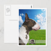 Briefkaart Bullshier 2011 (Voorkant / Achterkant)