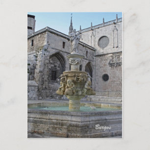 Briefkaart Burgos Cathedral Fountain
