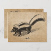 Briefkaart Burlap  Skunk (Voorkant / Achterkant)