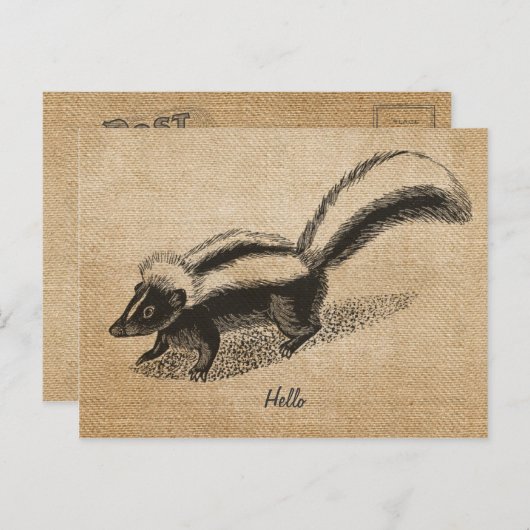 Briefkaart Burlap  Skunk (Voorkant / Achterkant)
