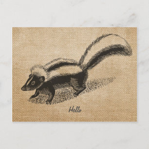 Briefkaart Burlap Skunk
