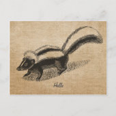 Briefkaart Burlap  Skunk (Voorkant)
