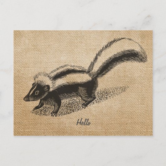 Briefkaart Burlap  Skunk (Voorkant)