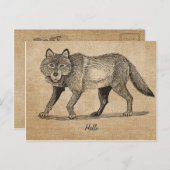 Briefkaart Burlap Wolf (Voorkant / Achterkant)