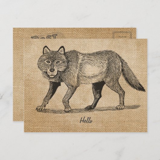Briefkaart Burlap  Wolf (Voorkant / Achterkant)