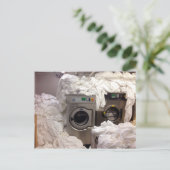 briefkaart "BUSY" (Staand voorkant)