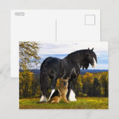 briefkaart "Butch and Blackbird" (Voorkant / Achterkant)