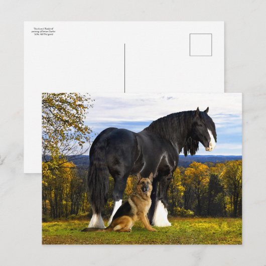 briefkaart "Butch and Blackbird" (Voorkant / Achterkant)