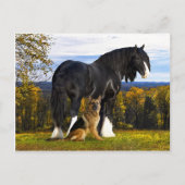 briefkaart "Butch and Blackbird" (Voorkant)