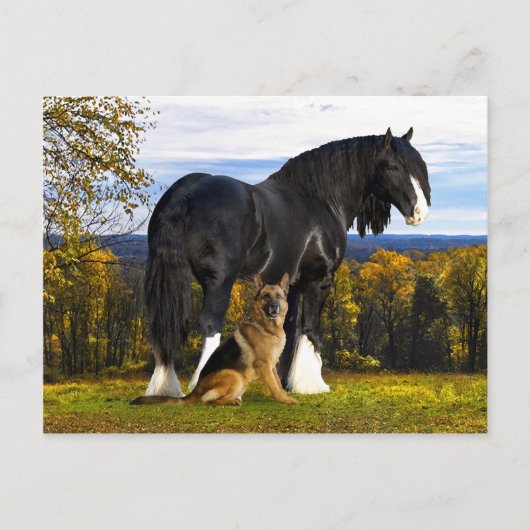 briefkaart "Butch and Blackbird" (Voorkant)