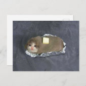 Briefkaart Butta Cat Meme (Voorkant / Achterkant)