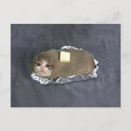 Briefkaart Butta Cat Meme (Voorkant)