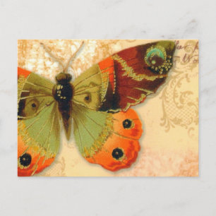 Briefkaart   "Butterfly"