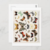 BRIEFKAART  BUTTERFLY (Voorkant / Achterkant)