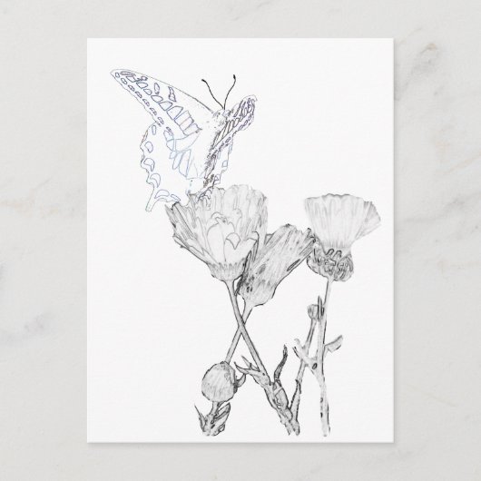 Briefkaart - Butterfly en Flowers to Color (Voorkant)