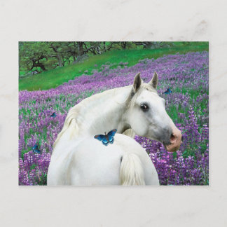 briefkaart "Butterfly Surprise"
