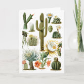 Briefkaart  Cactus Chart (Voorkant)