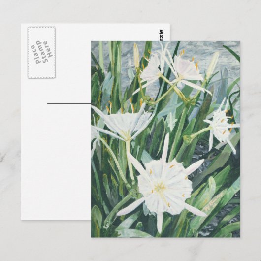 Briefkaart Cahaba Lilies (Voorkant / Achterkant)