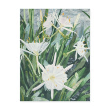 Briefkaart Cahaba Lilies