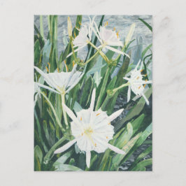 Briefkaart Cahaba Lilies