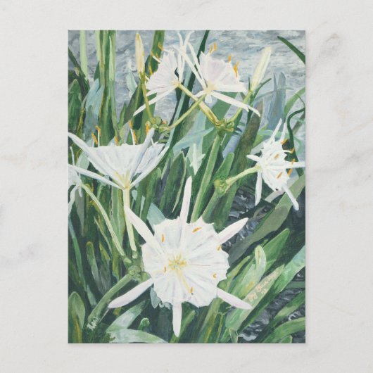 Briefkaart Cahaba Lilies (Voorkant)