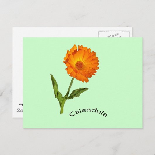 Briefkaart - Calendula met label (Voorkant / Achterkant)
