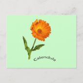 Briefkaart - Calendula met label (Voorkant)