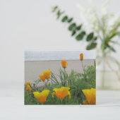 Briefkaart - California Poppies at the Beach (Staand voorkant)