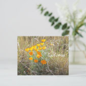 Briefkaart - California Poppy (Staand voorkant)