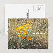 Briefkaart - California Poppy (Voorkant / Achterkant)