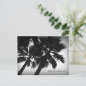 Briefkaart Californië Dreamweaver-palmbomen (Staand voorkant)