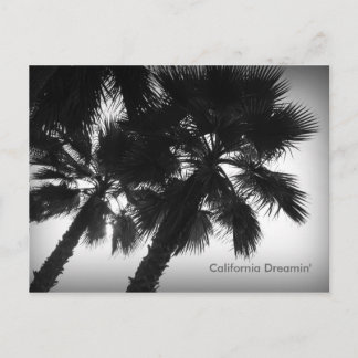 Briefkaart Californië Dreamweaver-palmbomen