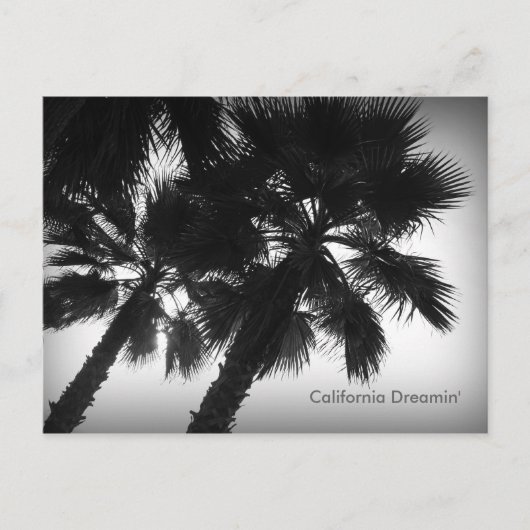 Briefkaart Californië Dreamweaver-palmbomen (Voorkant)