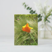Briefkaart Californië Poppy (Staand voorkant)