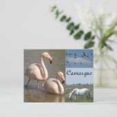 Briefkaart Camargue (Staand voorkant)
