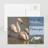 Briefkaart Camargue (Voorkant / Achterkant)
