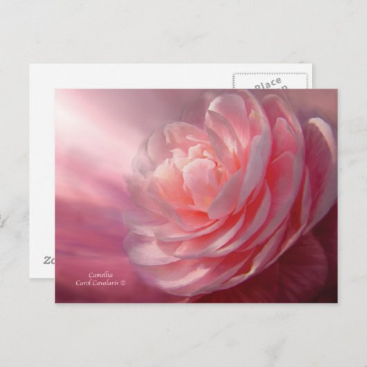 Briefkaart Camellia (Voorkant / Achterkant)