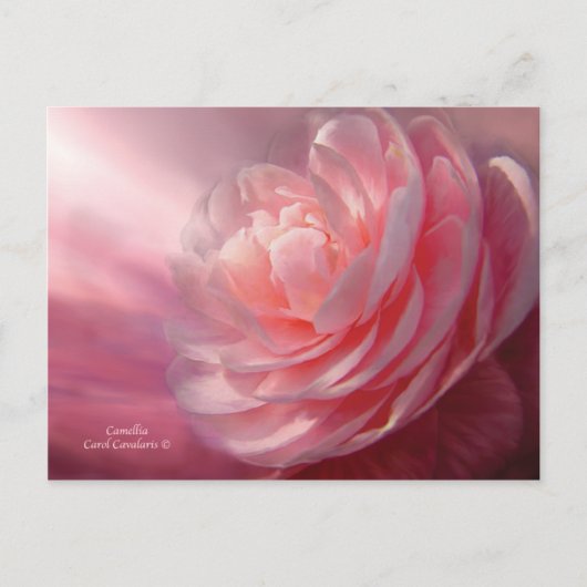 Briefkaart Camellia (Voorkant)