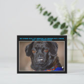 briefkaart "Canine Humor" (Staand voorkant)
