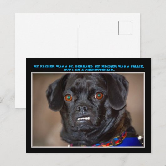 briefkaart "Canine Humor" (Voorkant / Achterkant)