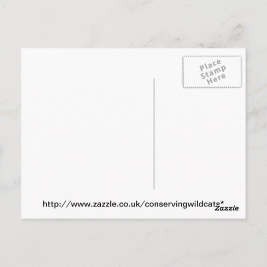 Briefkaart - caracal (Achterkant)