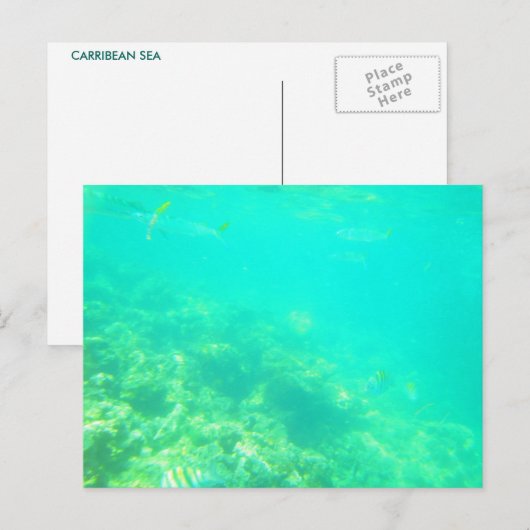 BRIEFKAART CARRIBEAN ZEE 12 (Voorkant / Achterkant)