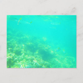 BRIEFKAART CARRIBEAN ZEE 12