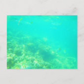 BRIEFKAART CARRIBEAN ZEE 12 (Voorkant)