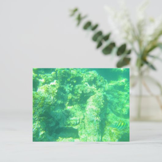 BRIEFKAART CARRIBEAN ZEE 13 (Staand voorkant)