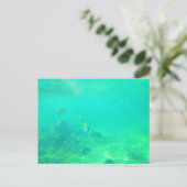 BRIEFKAART CARRIBEAN ZEE 14 (Staand voorkant)