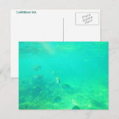 BRIEFKAART CARRIBEAN ZEE 14 (Voorkant / Achterkant)