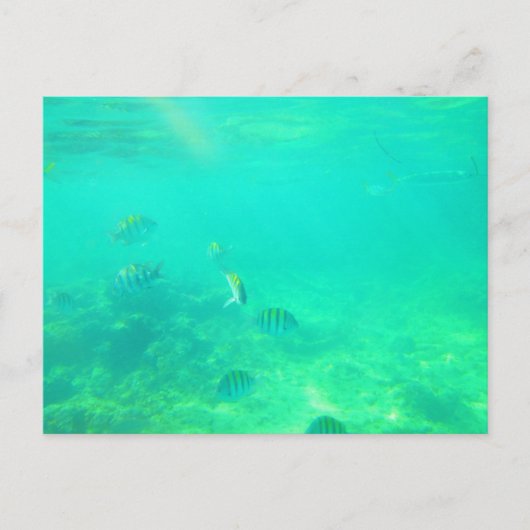 BRIEFKAART CARRIBEAN ZEE 14 (Voorkant)