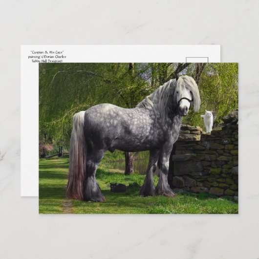 briefkaart "Caspian & Zijne Katten" (Voorkant / Achterkant)